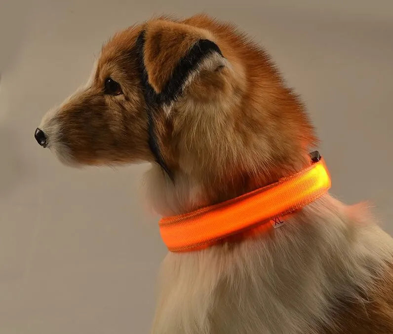 Fashionable LED dog collar designed for maximum comfort and visibility, seamlessly blending luxury and functionality for nighttime safety.