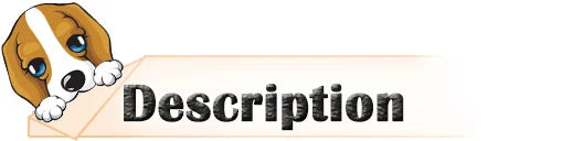 Sleek and sophisticated glow in the dark dog collar, made for discerning pet owners who prioritise both safety and style.
