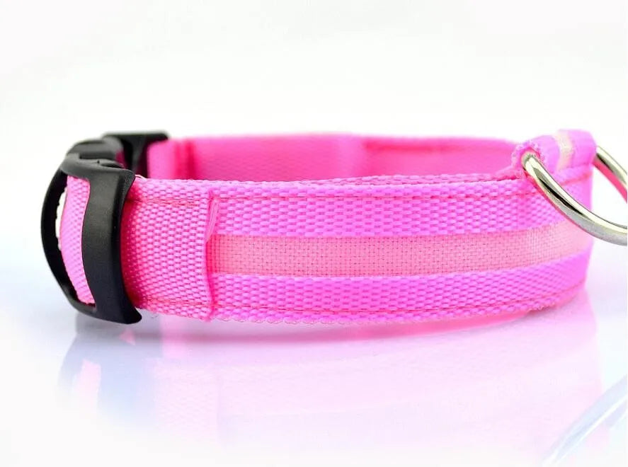 Chic glow-in-the-dark dog collar with LED features, combining fashion and functionality for evening adventures.