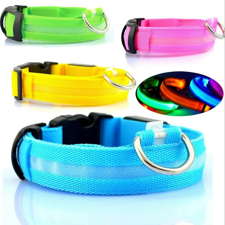 Elegant glow in the dark dog collar, perfect for nighttime walks, blending safety and style.