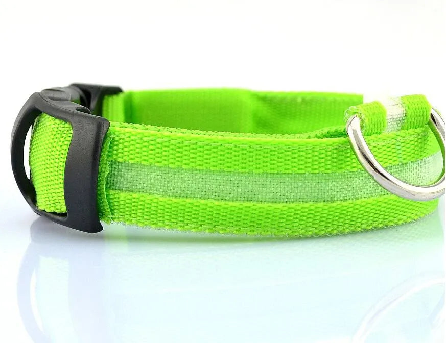 Premium luminous nylon collar for dogs, designed for night safety with a beautiful glowing effect and modern aesthetics.