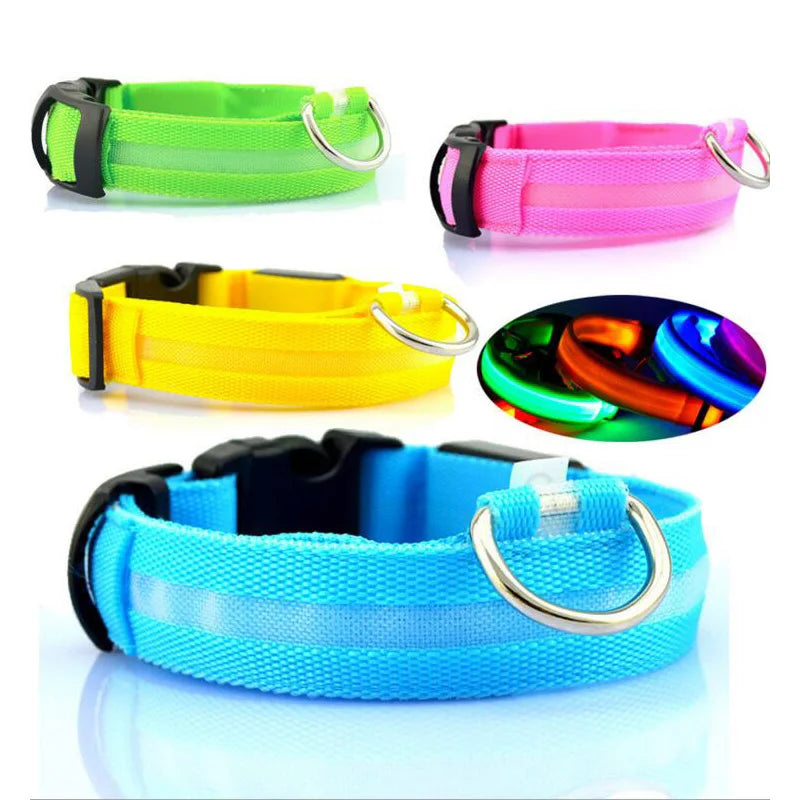 Luxurious Nylon LED Dog Collar glowing in the dark, designed for enhanced night visibility and safety, perfect for pets who enjoy evening walks.