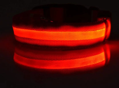 Sophisticated nylon dog collar with LED illumination, perfect for discerning pet owners who value safety and elegance.
