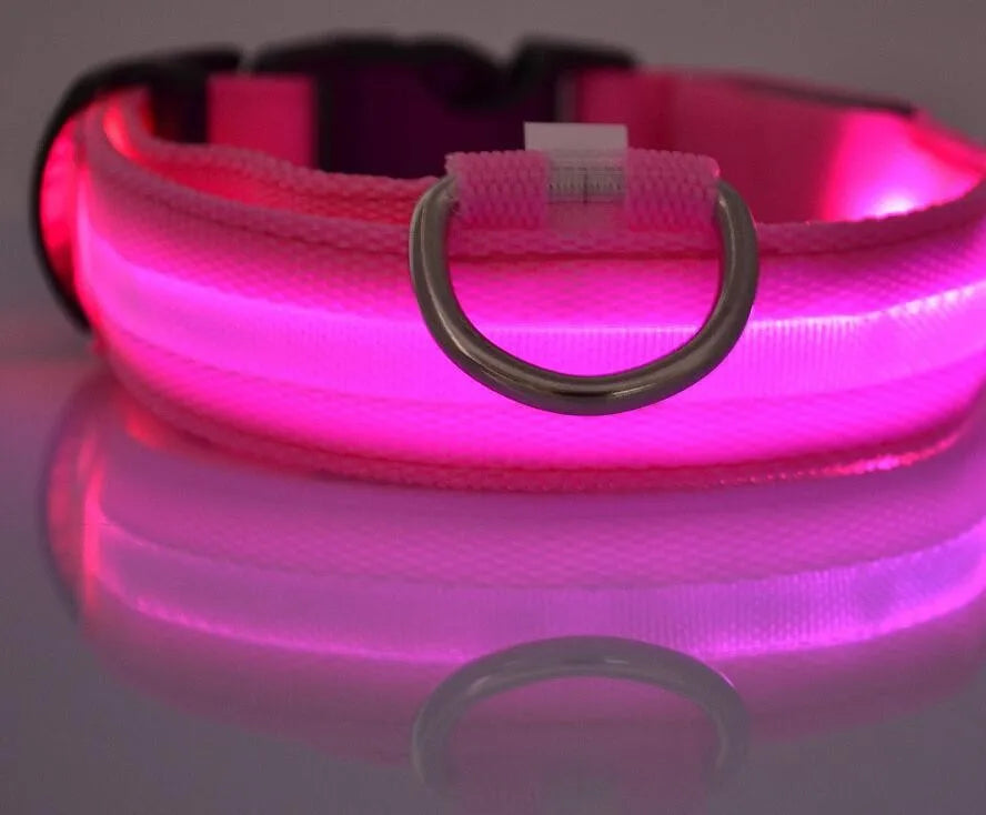 Elegant fluorescent dog collar made of durable nylon, designed to provide visibility during nighttime walks.