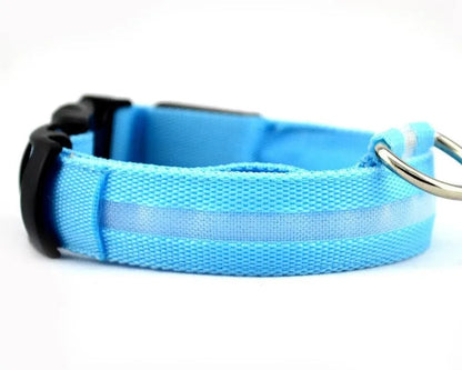 Stylish night safety dog collar, featuring luminous technology for exceptional visibility and modern aesthetics.