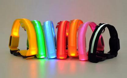 Premium fluorescent dog collar with LED features, crafted for stylish pets who love evening adventures.