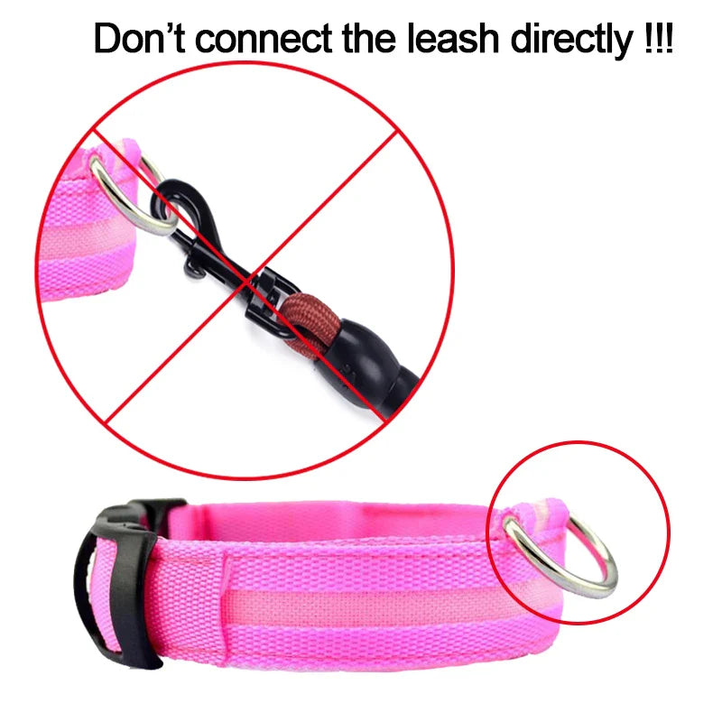 Stylish nylon luminous collar for dogs, ensuring visibility and safety during evening strolls.