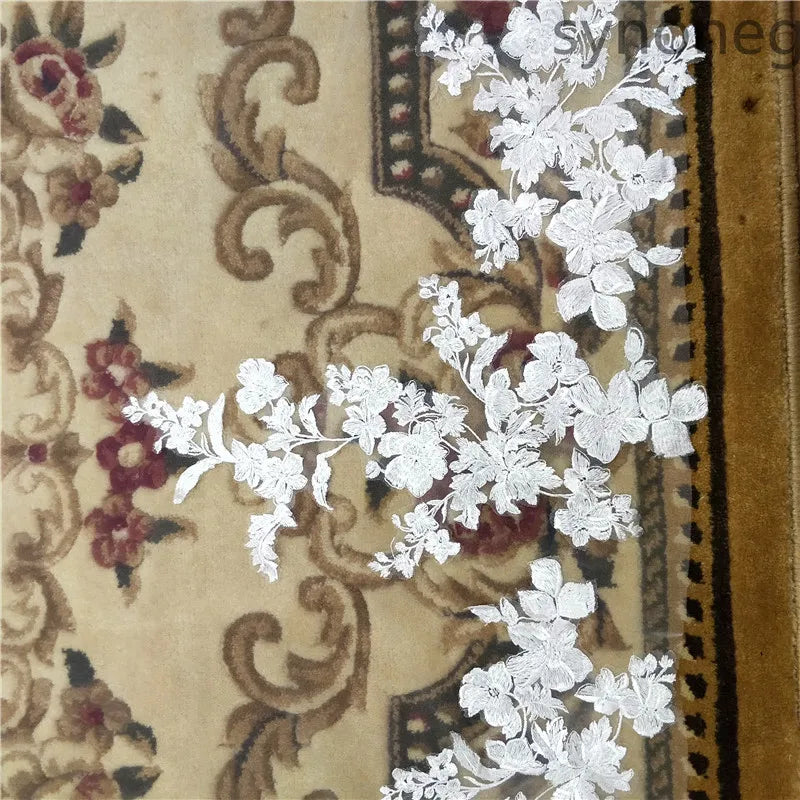 Elegant one-layer cathedral wedding veil with lace edge, perfect for bridal elegance, showcased on a model.