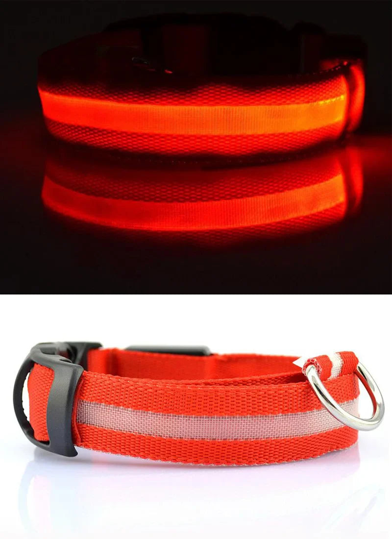 Premium fluorescent LED dog collar with an elegant design for enhanced night-time safety.