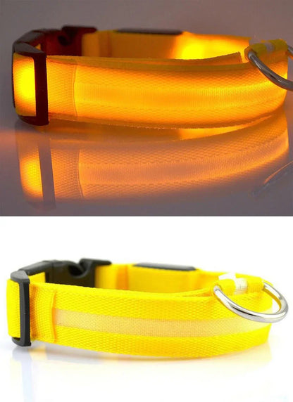 Luxurious glowing nylon LED dog collar in vibrant fluorescent hue designed for night safety and elegance.