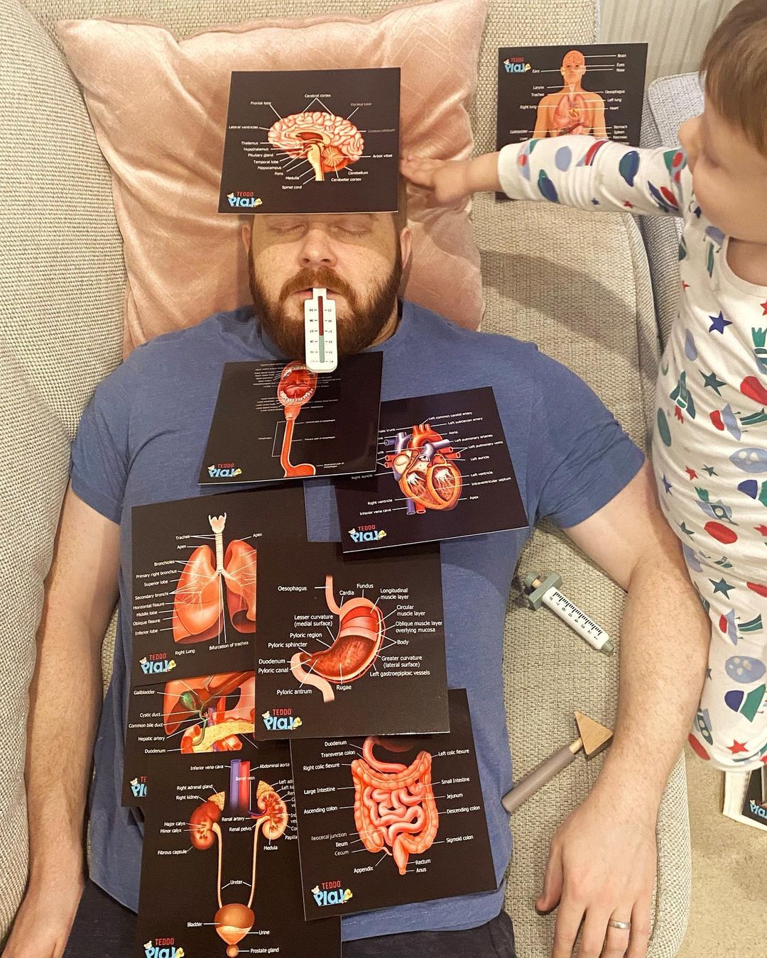 Teddo Play - Our Bodies Inside & Out Learning Cards Set