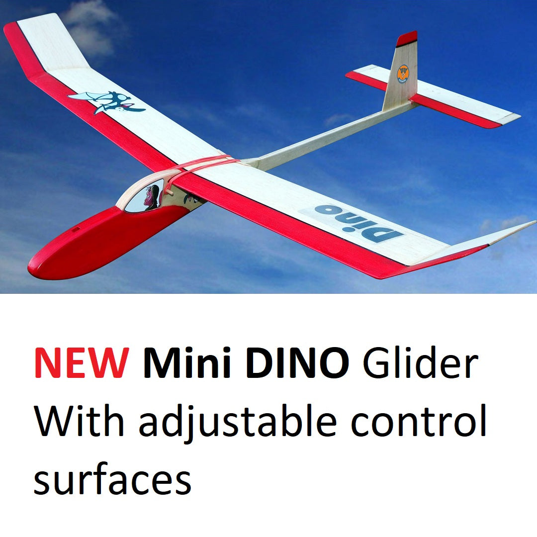 Hiesbok DINO Entry Level, Multi-Purpose Model Glider Kit