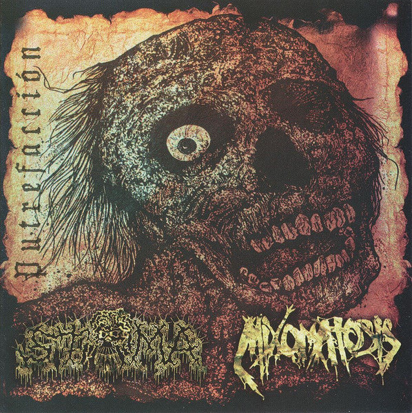 Official CD album cover of 'Putrefacción Split' by Stoma and Mixomatosis, released by Rancid Offal Records, featuring striking artwork that reflects the intense genre of Goregrind music.