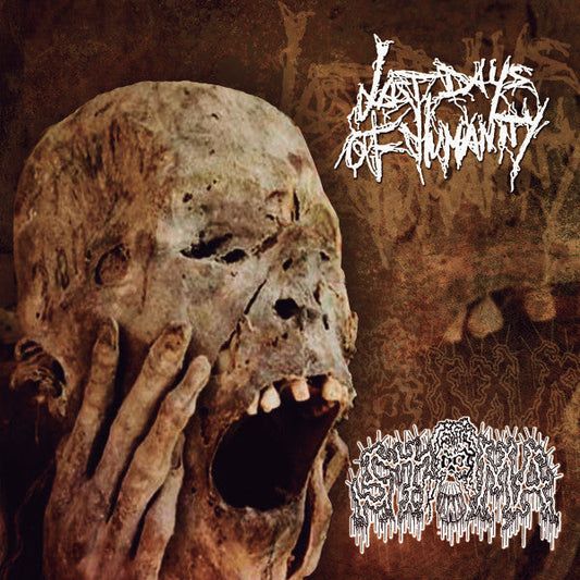 Last Days Of Humanity / Stoma Split CD from Rancid Offal Records, featuring goregrind tracks like 'Excremental Mess Of Fecal Putrilage' and 'My Kid Sister', released in 2018.