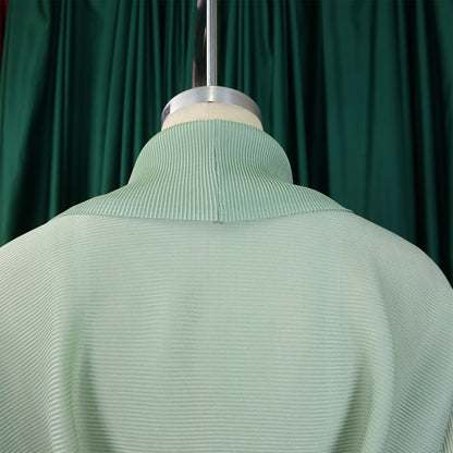 Stylish CM.YAYA Women's Gradient Two Piece Ensemble, featuring a chic Full Sleeve Blouse and flowing Pleated Skirt, perfect for autumn and winter fashion.