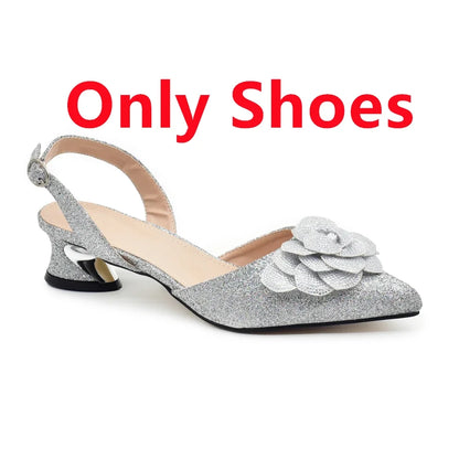 Elegant ladies rhinestone shoe and bag set in silver, perfect for parties and special events. Italian style pumps with matching bag.