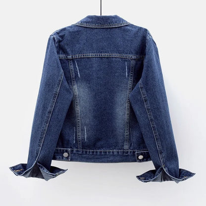 Luxury women's denim jacket in 5XL size displayed elegantly on a mannequin, highlighting its fashionable loose fit and versatility.