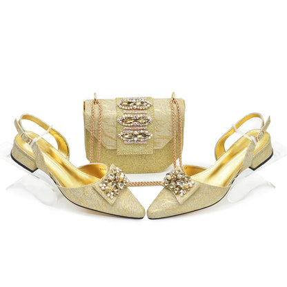 Sumptuous ladies shoe and bag ensemble showcasing pointed toe pumps and a sophisticated handbag, perfect for evening events.