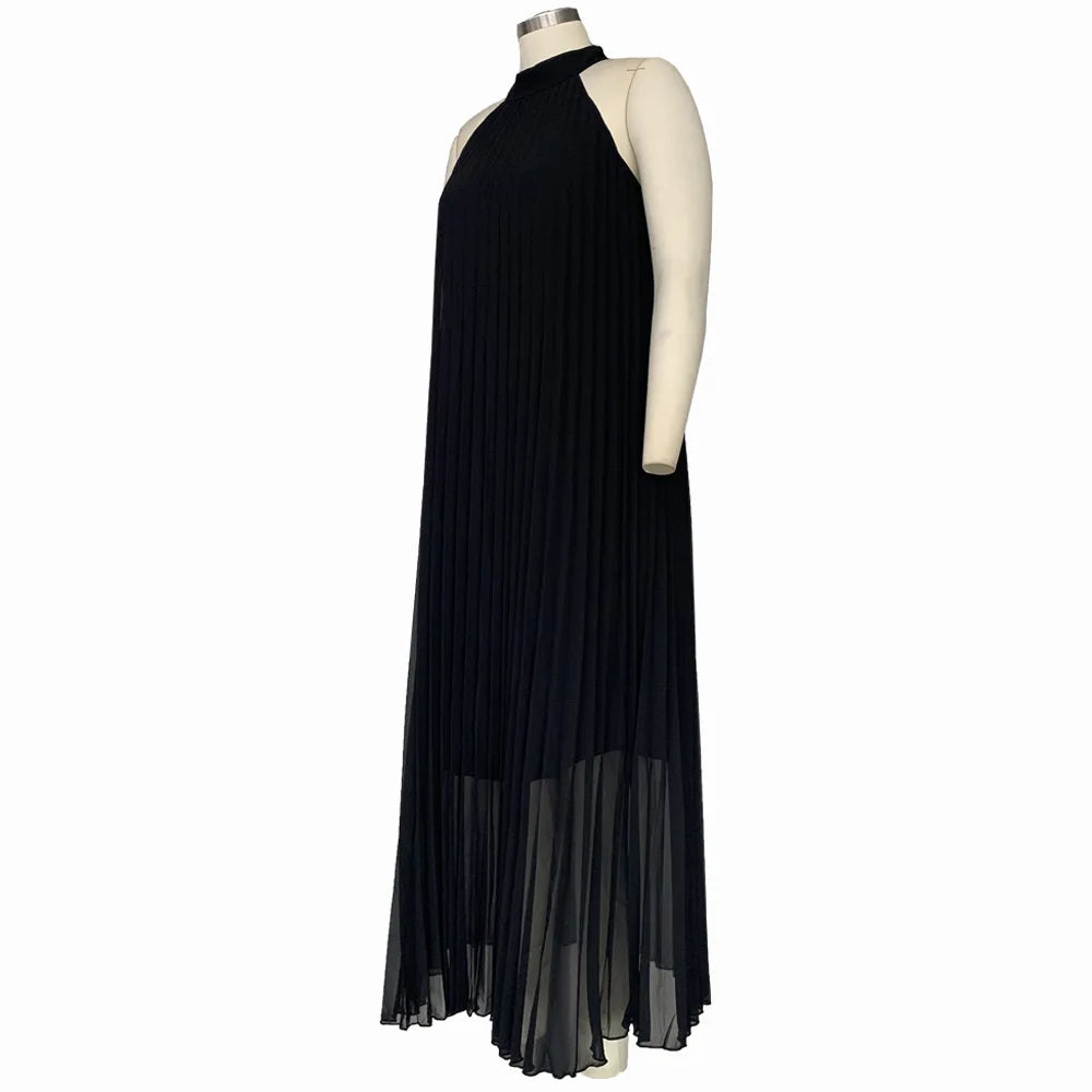 Chic Plus Size Women's Floor-Length Evening Maxi Dress featuring a pleated A-line silhouette, ideal for a luxurious fashion statement.