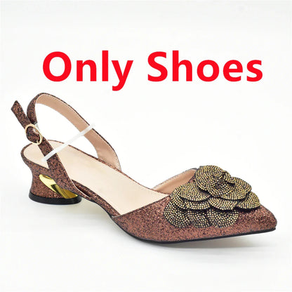 Classic brown women's shoe and bag set featuring exquisite rhinestone embellishments, designed for luxury and timeless elegance at any special event.