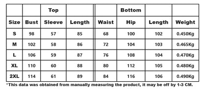 Elegant 2-piece women's outfit set featuring an O-neck embroidered lantern sleeve top paired with wide-leg high waist trousers, ideal for casual party wear.