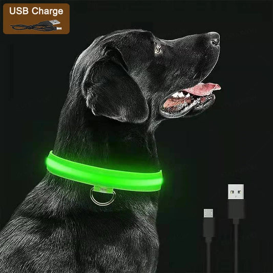 Luminous USB rechargeable LED dog collar featuring a sleek design, detachable night glow for enhanced safety and style, ideal for all seasons.