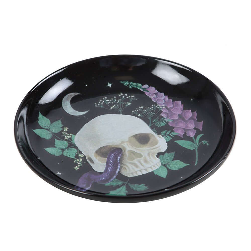 Ceramic keepsake holder showcasing a gothic skull with snake embellishments, ideal for adding a luxurious touch to home decor or as a unique gift.