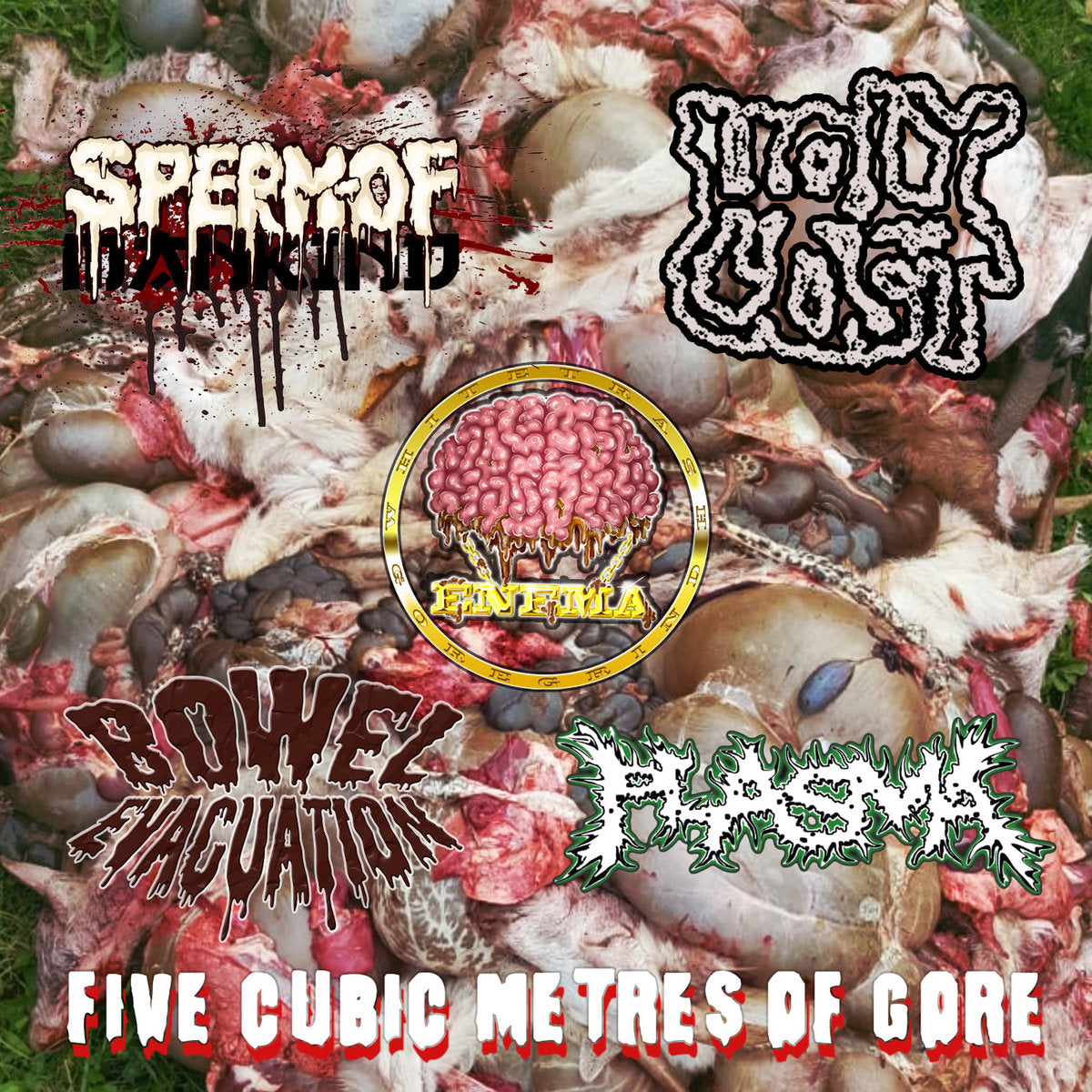 Cover art for 'Mental Disease Transmitted by Radioactive Fear' CD by Meat Spreader, published by Rancid Offal Records; featuring dark, gore-themed imagery that embodies the essence of the Goregrind genre.