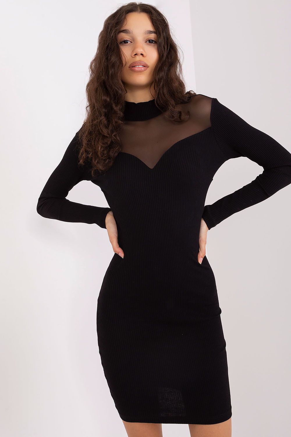 Elegant Cotton Pencil Dress With Transparent Neckline And Long Sleeves By BFG, showcasing the sophisticated design and fashion-forward appeal, perfect for luxurious events.