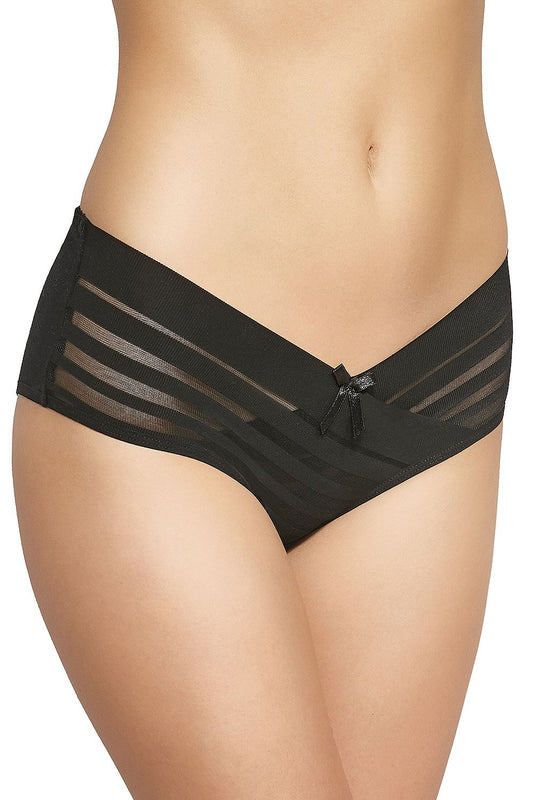 Gabidar Elegant Mesh Accented Low-Cut Panties with Cotton Liner, presenting luxurious lingerie design for women's comfort and style.