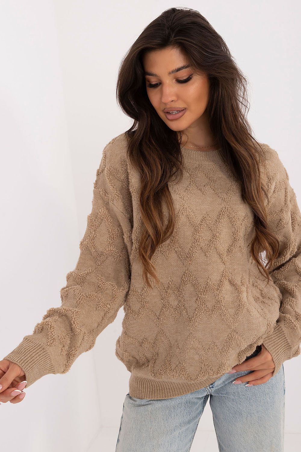 Elegant Women's Casual Sweater by AT featuring a textured weave, classic round neck, and long sleeves for a luxurious and comfortable fit.