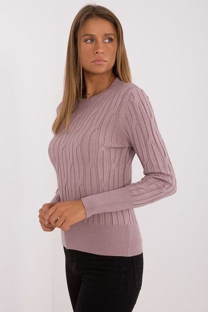 Sophisticated round neck sweater for women by AT, designed for ultimate comfort with long sleeves, ideal for both work and casual occasions.
