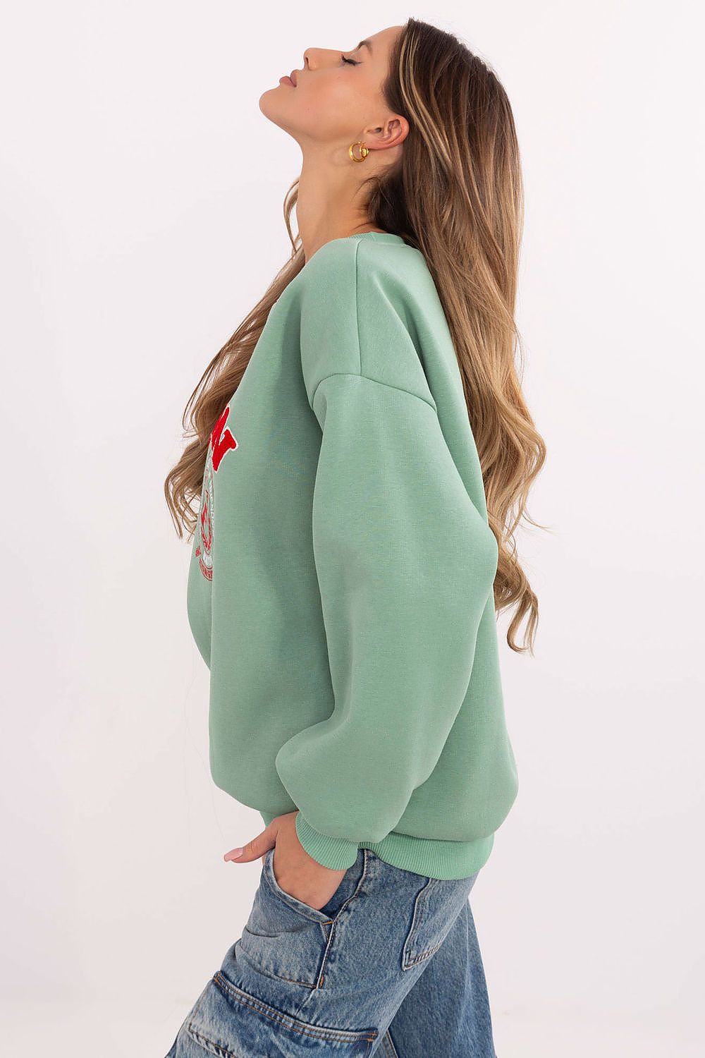 Luxurious round neck women's casual sweatshirt by Factory Price, designed for a trendy yet comfortable look, perfect for any casual occasion.