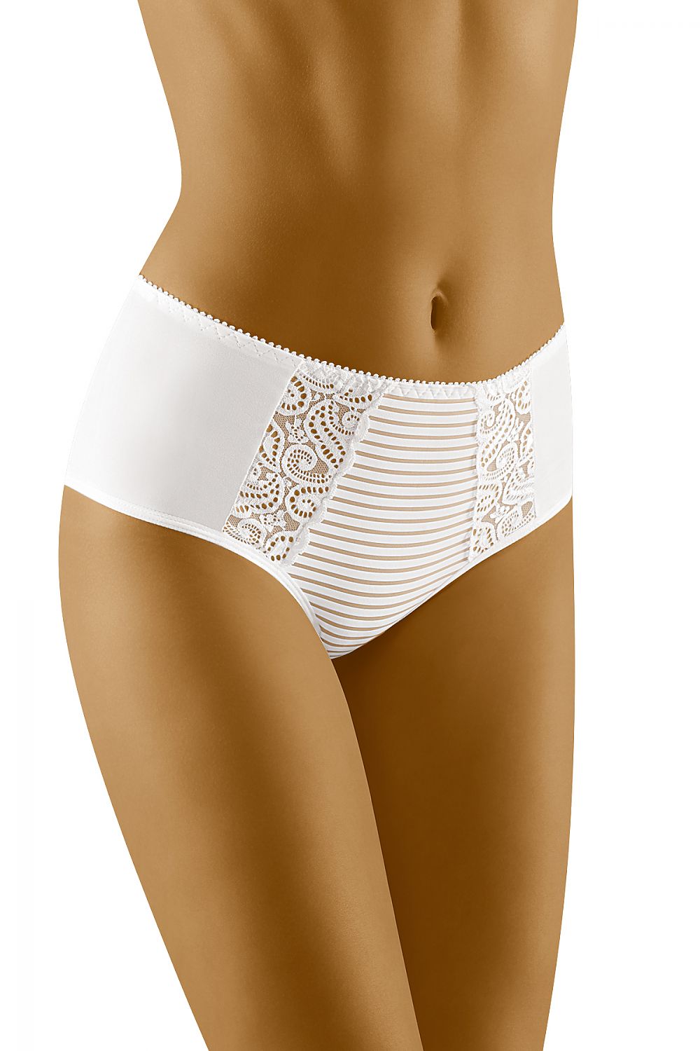 Wolbar Midi Briefs with Lace and Mesh Detailing – Elegant Cotton-Blend Women's Underwear showcasing the front view with intricate lace and mesh design.
