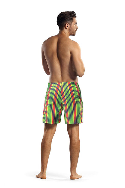 Back view of Lorin Men's Lined Swim Trunks with a striking striped pattern, highlighting comfort and style, worn by a model in a sophisticated pose.