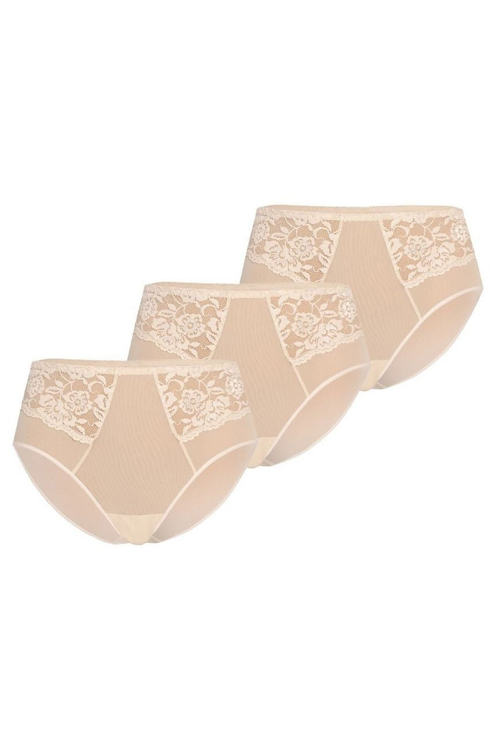 Teyli high-waisted women's panties in a chic multi-pack featuring sheer mesh with floral lace detailing, perfect for adding elegance to your underwear collection.