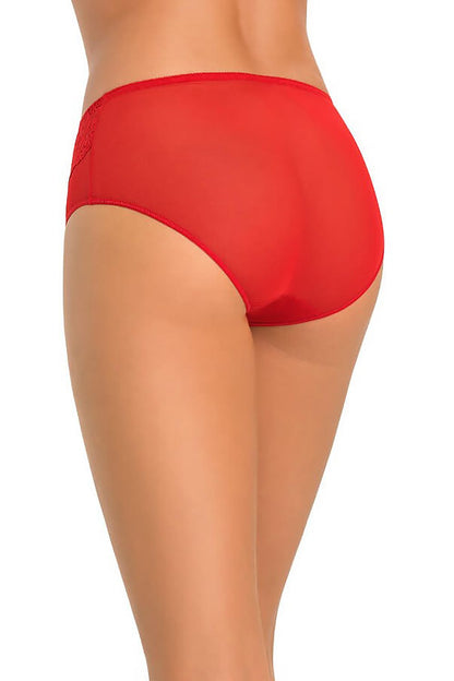 Rear view of Teyli high-waisted women's panties in sheer red mesh, showcasing beautiful floral lace design, perfect for enhancing your lingerie wardrobe.