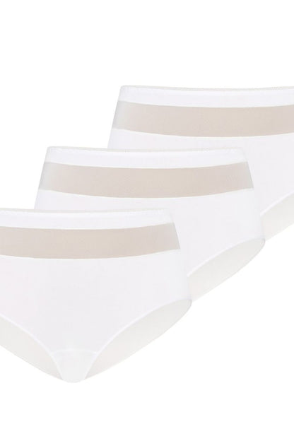 Teyli Women's Cotton Panties in high-waisted design, featuring delicate mesh detail, part of a luxurious three-pack for enhanced silhouette and elegance.