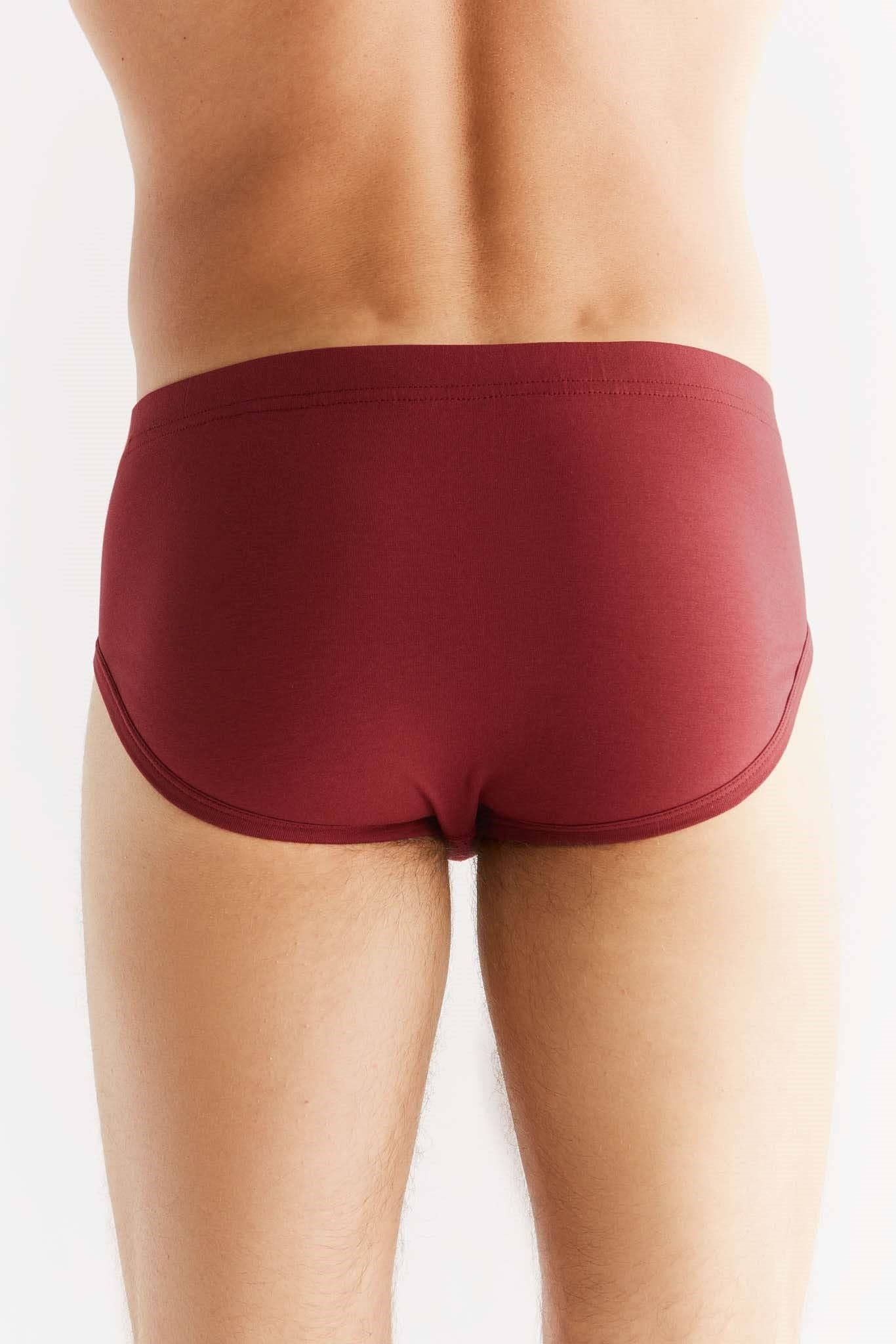 Luxury organic cotton briefs for men featuring a comfortable elastic waistband, designed for eco-friendly comfort and style.